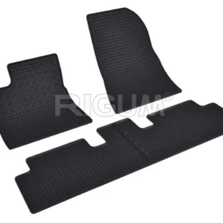 Rigum Mattosarja Tesla Model 3 Vm. 07.2017-